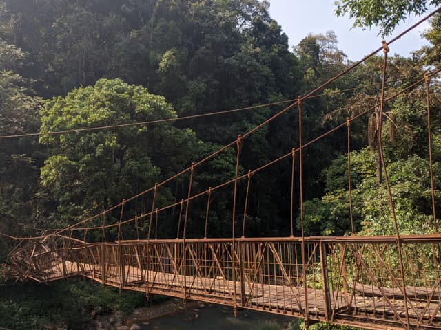 Hanging Bridge
