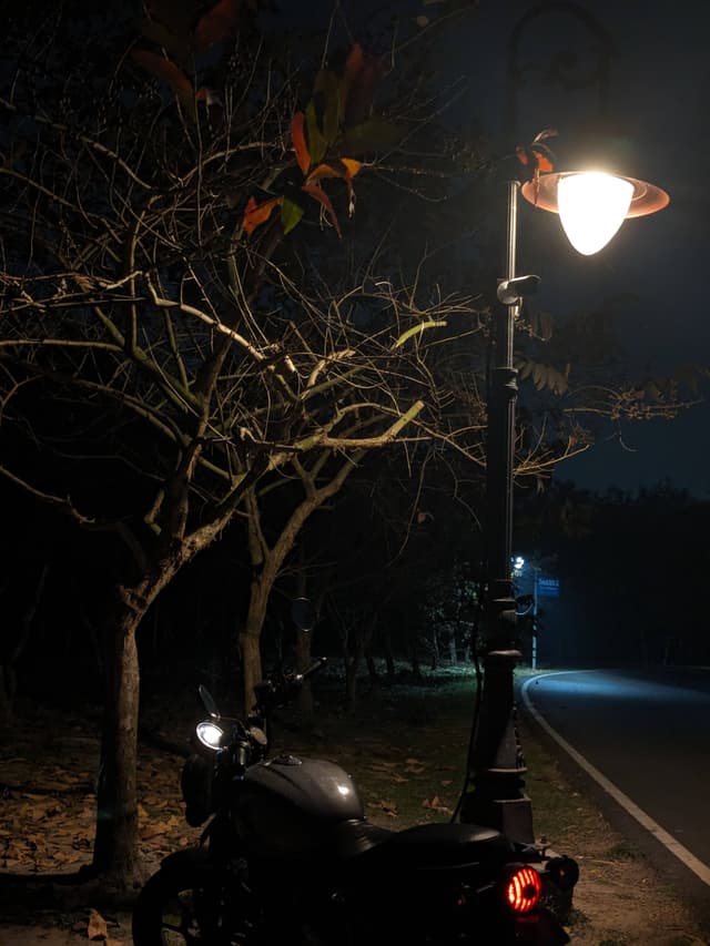 Night Rides