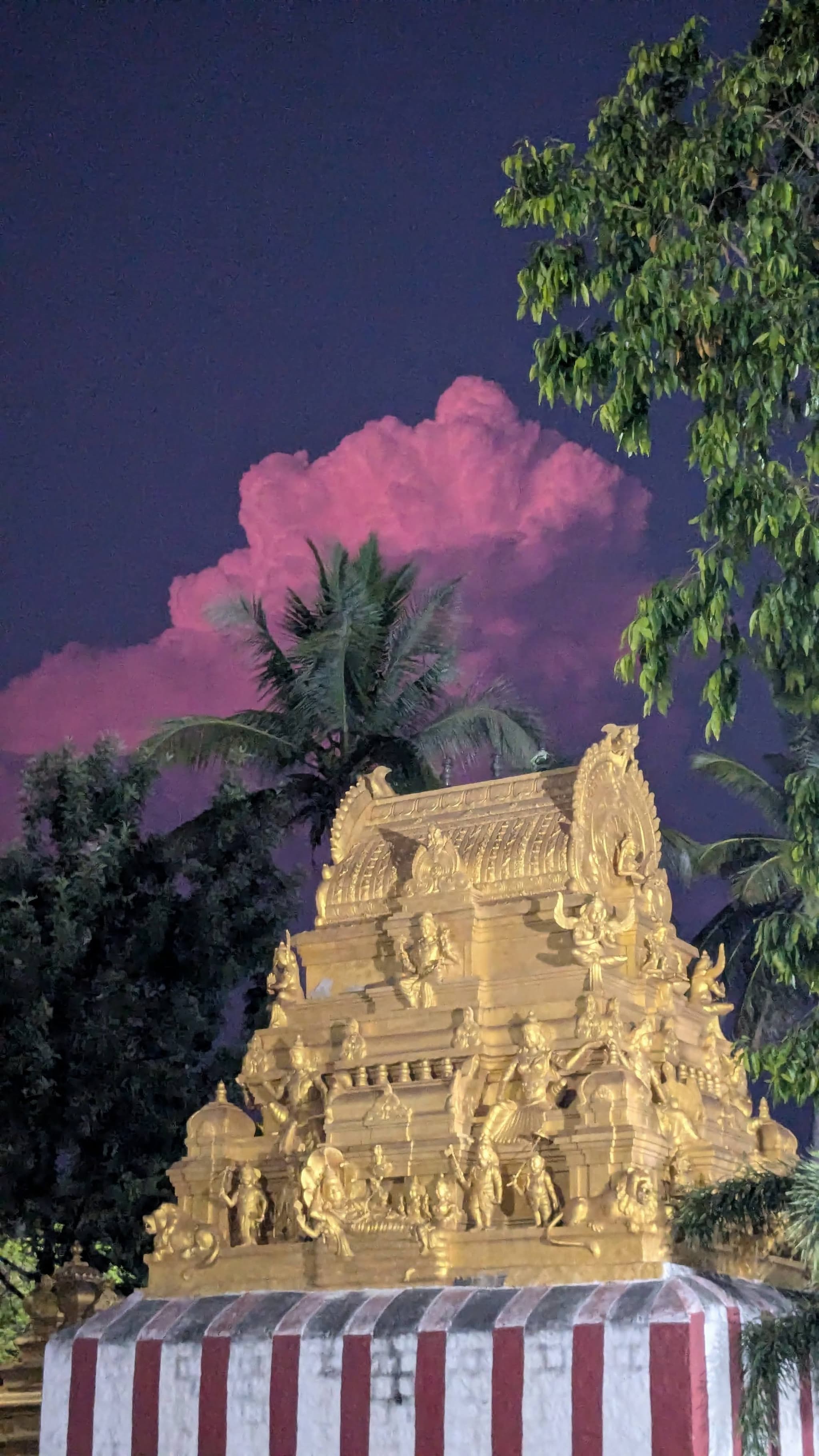 Illuminated temple gopuram rising above striped base, framed by tree foliage and palm silhouettes against a dark sky with a large pink cloud