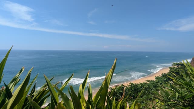 Ocean waves gently reach a sandy shore framed by lush greenery under a clear blue sky