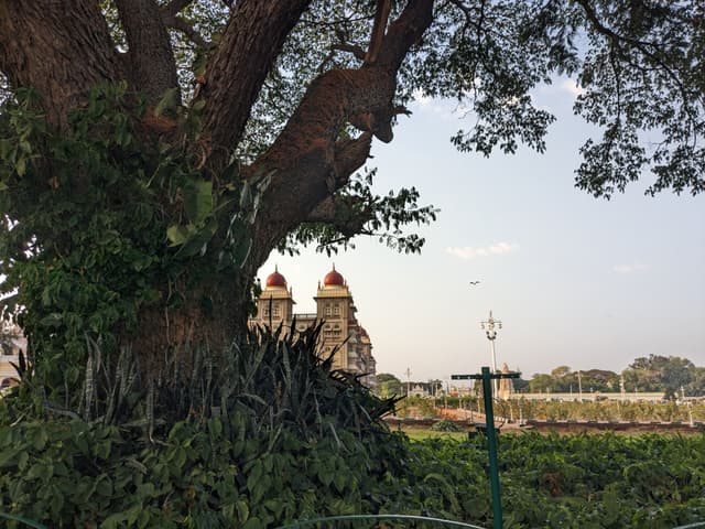 A large tree with lush foliage partially frames the view of distant temple towers against a clear sky, with greenery and a field in the foreground