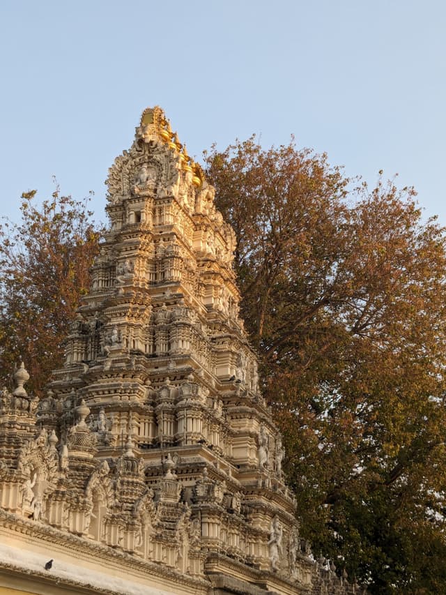 Ornate temple gopuram with a tree backdrop at sunset