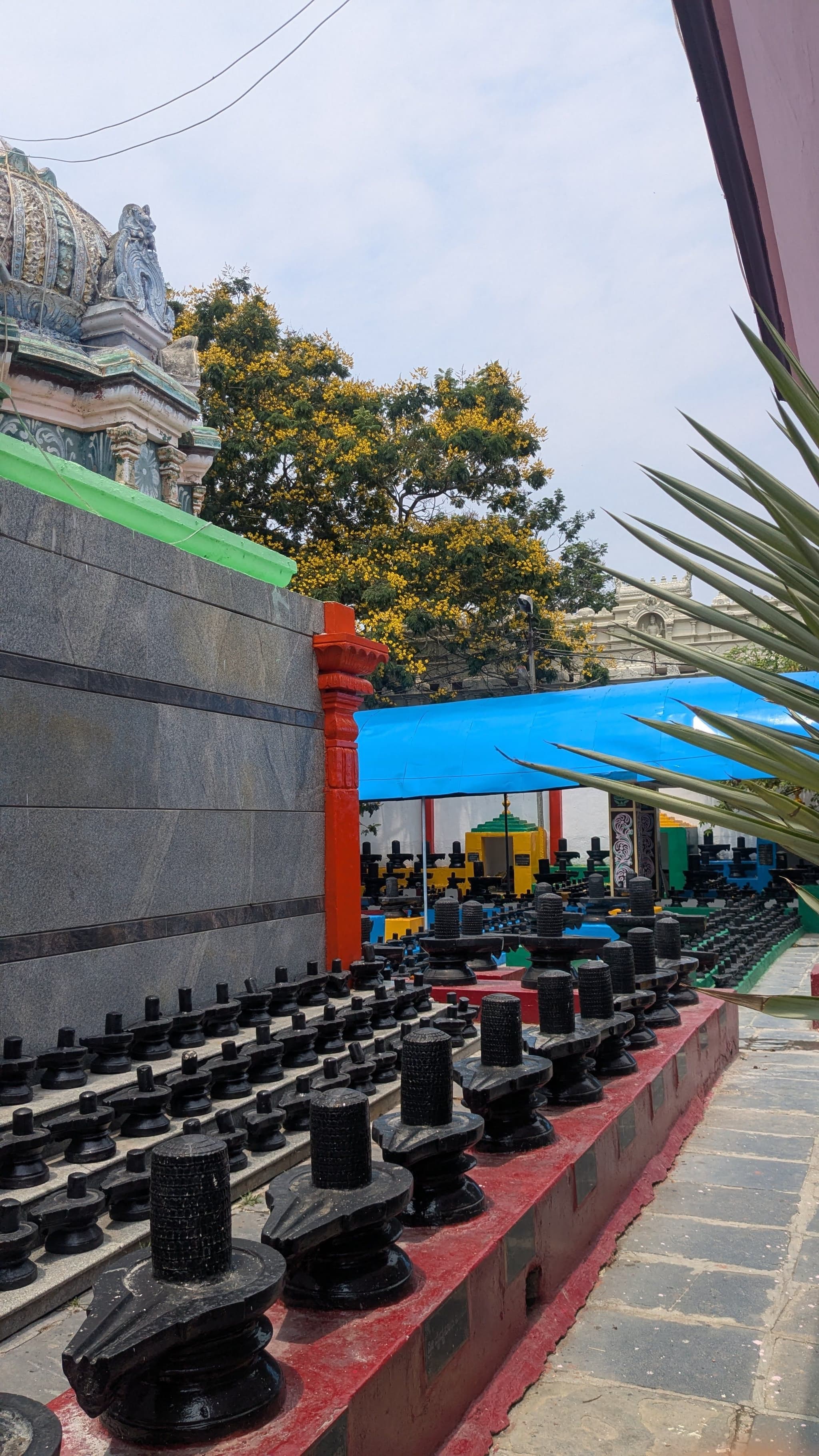 Rows of small black stone Nandi statues lined along a temple corridor, with a colorful wall, a blue canopy covering seating, and the temple tower and trees in the background