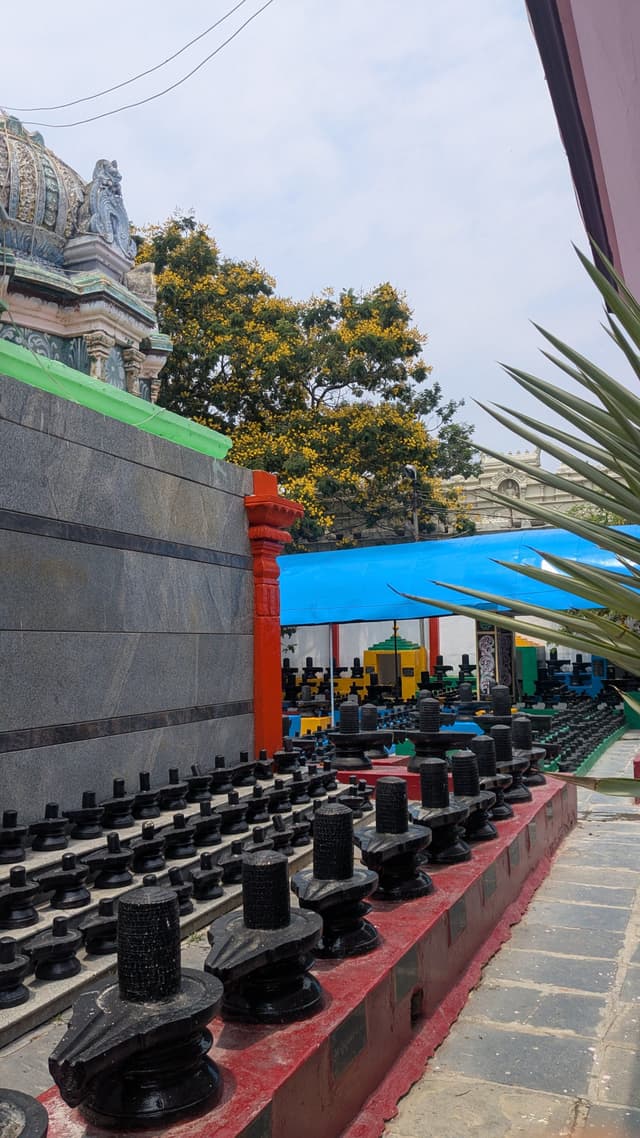 Rows of small black stone Nandi statues lined along a temple corridor, with a colorful wall, a blue canopy covering seating, and the temple tower and trees in the background
