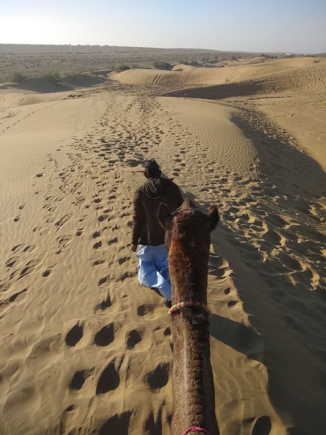 Desert
